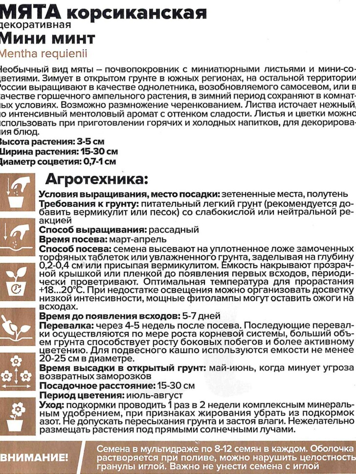 Мята Мини минт декоративная корсиканская [Семена алтая] купить с доставкой