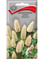 Декоративные злаки Зайцехвост [Поиск]