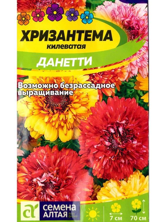 Хризантема Данетти килеватая [Семена алтая] купить с доставкой