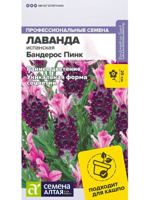 Лаванда Бандерос Пинк испанская [Семена алтая]