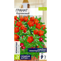 Гранат Карликовый [Семена алтая]