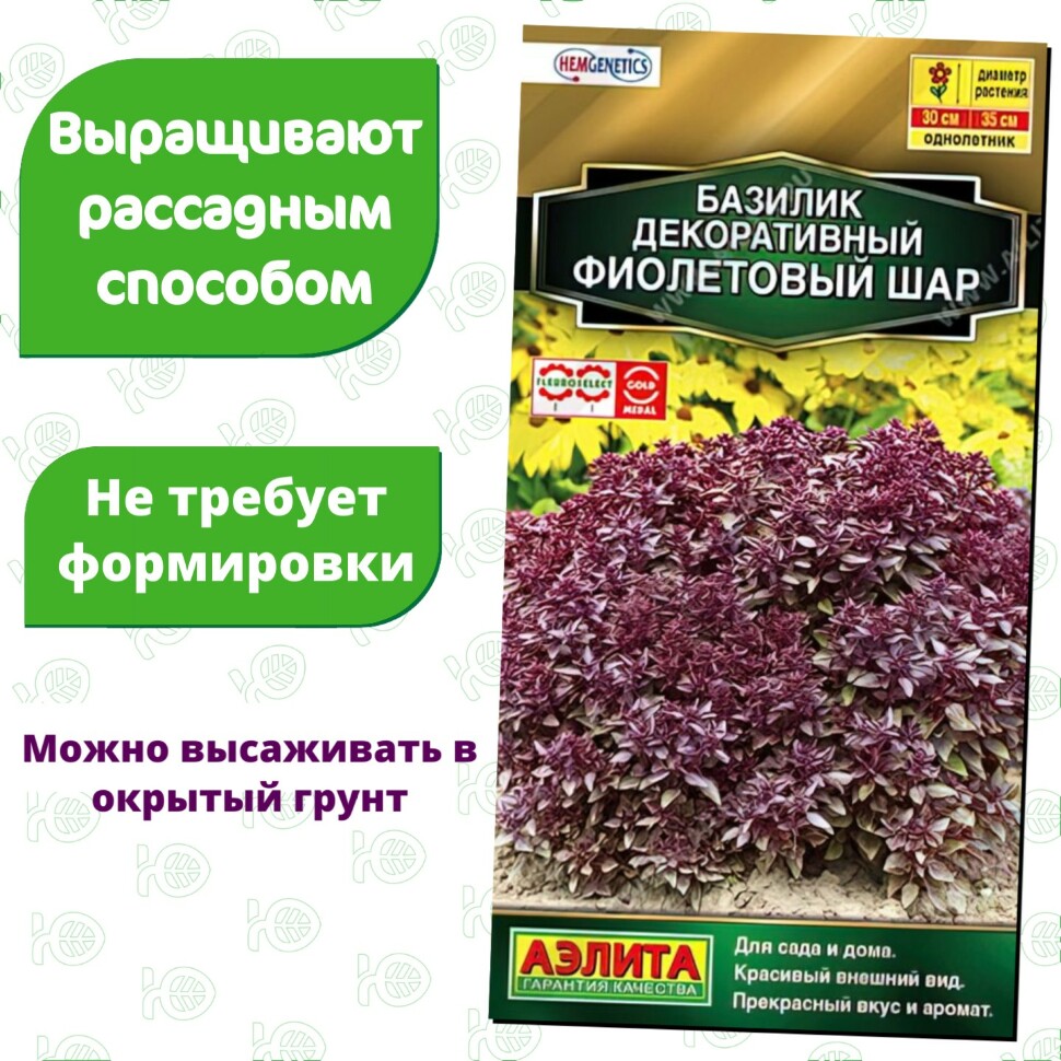 Базилик Фиолетовый шар декоративный [Аэлита] купить с доставкой