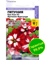 Петуния Кан Кан Арлекин Бургунди [Семена алтая]