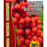 Томат Черри Piennolo del Vesuvio [Семена редких растений]