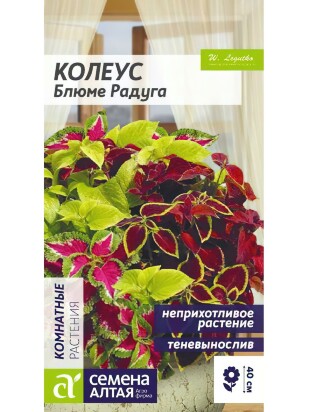 Колеус Блюме Радуга смесь [Семена алтая]