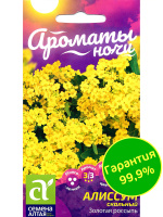 Алиссум Золотая Россыпь [Семена алтая]