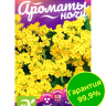 Алиссум Золотая Россыпь [Семена алтая]