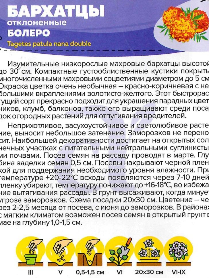 Бархатцы Болеро махровые [Семена алтая] купить с доставкой