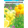 Тимьян Лимонадный взрыв [Сибирский сад]