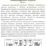 Тимьян Лимонадный взрыв [Сибирский сад] купить с доставкой