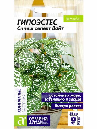 Гипоэстес Сплеш селект Вайт [Семена алтая]