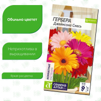 Гербера Джеймсона Смесь [Семена алтая]