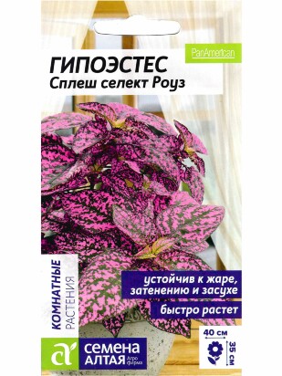 Гипоэстес Сплеш селект Роуз [Семена алтая]
