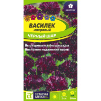 Василек Черный шар махровый [Семена алтая]