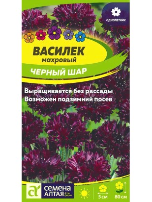 Василек Черный шар махровый [Семена алтая]