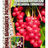 Лимонник Китайский [Семена редких растений] купить с доставкой