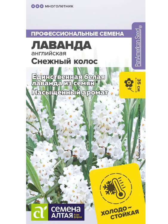 Лаванда Снежный колос английская [Семена алтая] купить с доставкой