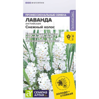 Лаванда Снежный колос английская [Семена алтая]