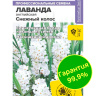 Лаванда Снежный колос английская [Семена алтая] купить с доставкой