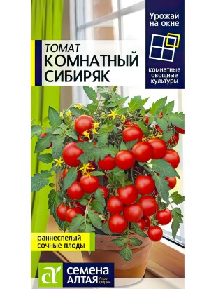 Томат Комнатный Сибиряк [Семена алтая]