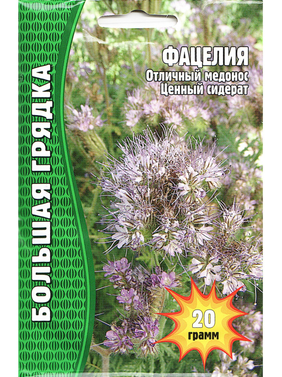 Фацелия 20г.[Семена редких растений] купить с доставкой