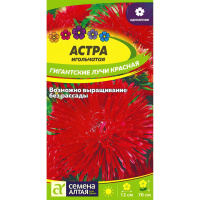 Астра Гигантские лучи Красная [Семена алтая]