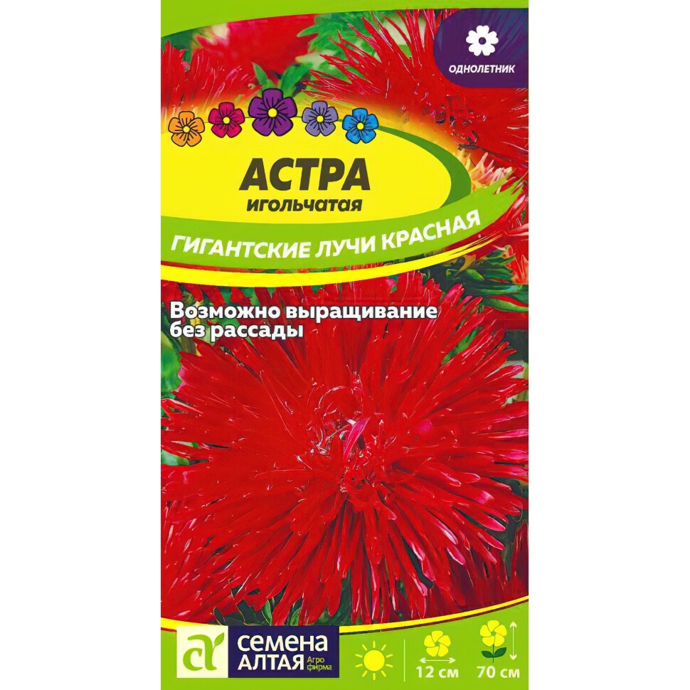 Астра Гигантские лучи Красная [Семена алтая] купить с доставкой
