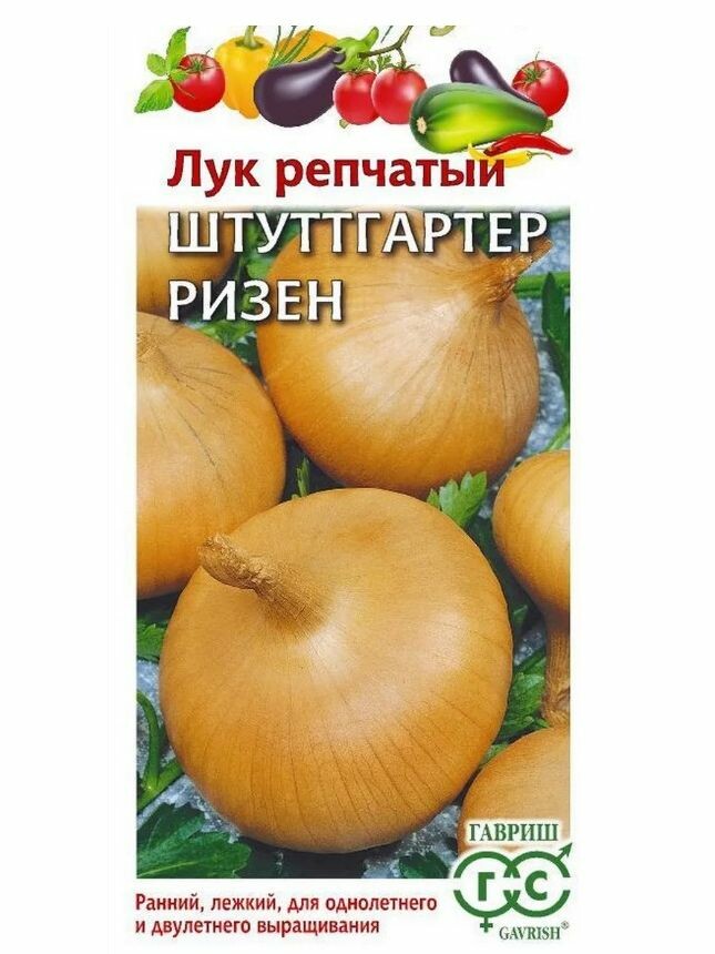 Лук репчатый Штуттгартер ризен [Гавриш] купить с доставкой