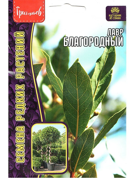 Лавр Благородный [Семена редких растений] купить с доставкой