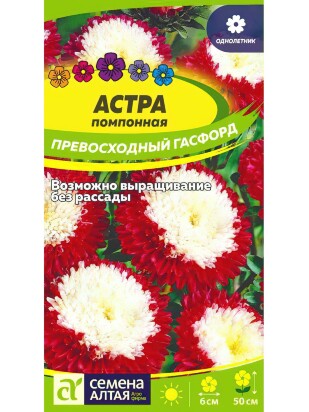 Астра Превосходный Гасфорд помпонная [Семена алтая]