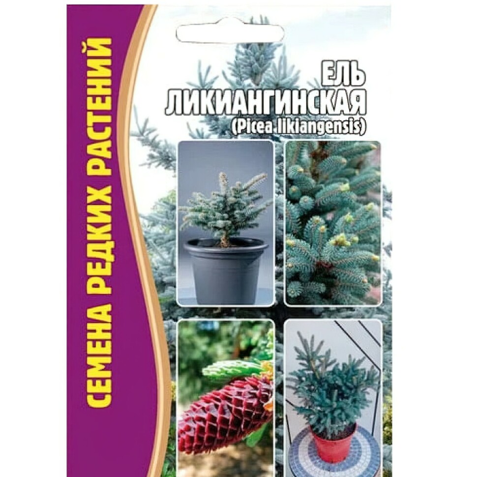 Ель Ликиангинская [Семена редких растений] купить с доставкой