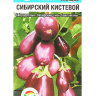 Баклажан Сибирский кистевой [Сибирский сад] купить с доставкой