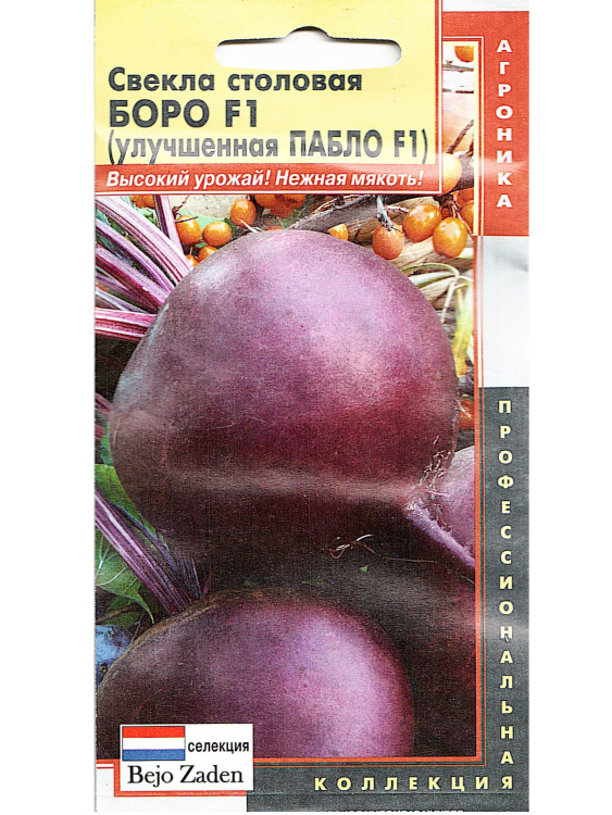 Свекла Боро[Семена редких растений] купить с доставкой