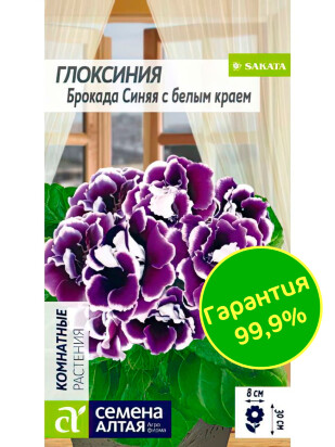 Глоксиния Брокада Синяя с белым краем [Семена алтая]