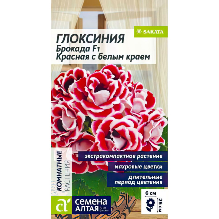 Глоксиния Брокада Красная с белым краем [Семена алтая] купить с доставкой
