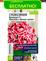 Глоксиния Брокада Красная с белым краем + подарок [Семена алтая]
