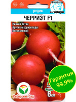 Редис Черриэт [Сибирский сад]
