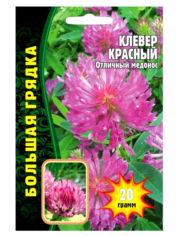 Клевер Красный Большая грядка 20гр (Ред.Сем) купить с доставкой
