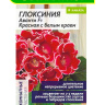 Глоксиния Аванти Красная с белым краем + подарок [Семена алтая]