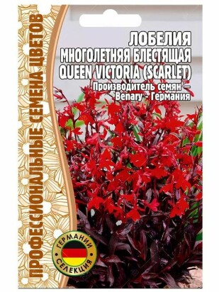 Лобелия Queen Victoria SCARLET многолетник [Семена редких растений]