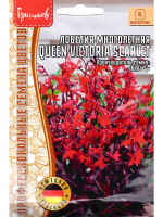 Лобелия Queen Victoria SCARLET многолетник [Семена редких растений]
