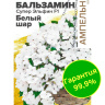 Бальзамин Супер Эльфин Белый шар [Семена алтая]