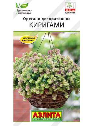Орегано декоративное Киригами [Аэлита]
