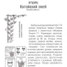 Огурец Китайский змей [Сибирский сад] купить с доставкой