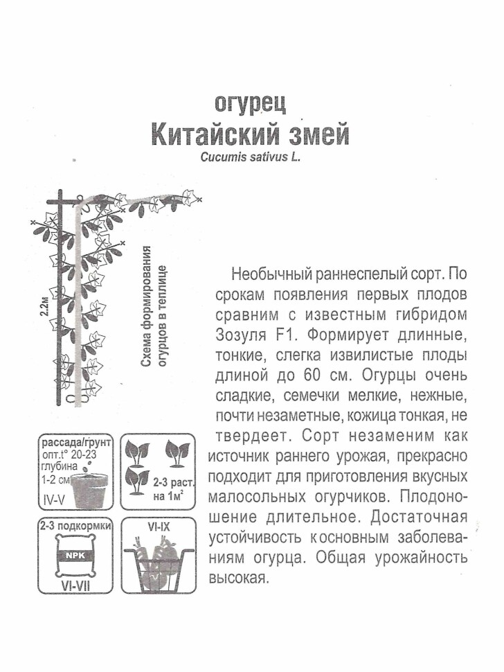 Огурец Китайский змей [Сибирский сад] купить с доставкой