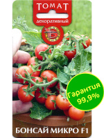 Томат декоративный Бонсай Микро + подарок [Биотехника]