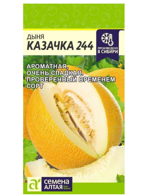 Дыня Казачка 244 [Семена алтая] купить с доставкой