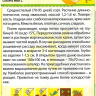 Дыня Казачка 244 [Семена алтая] купить с доставкой