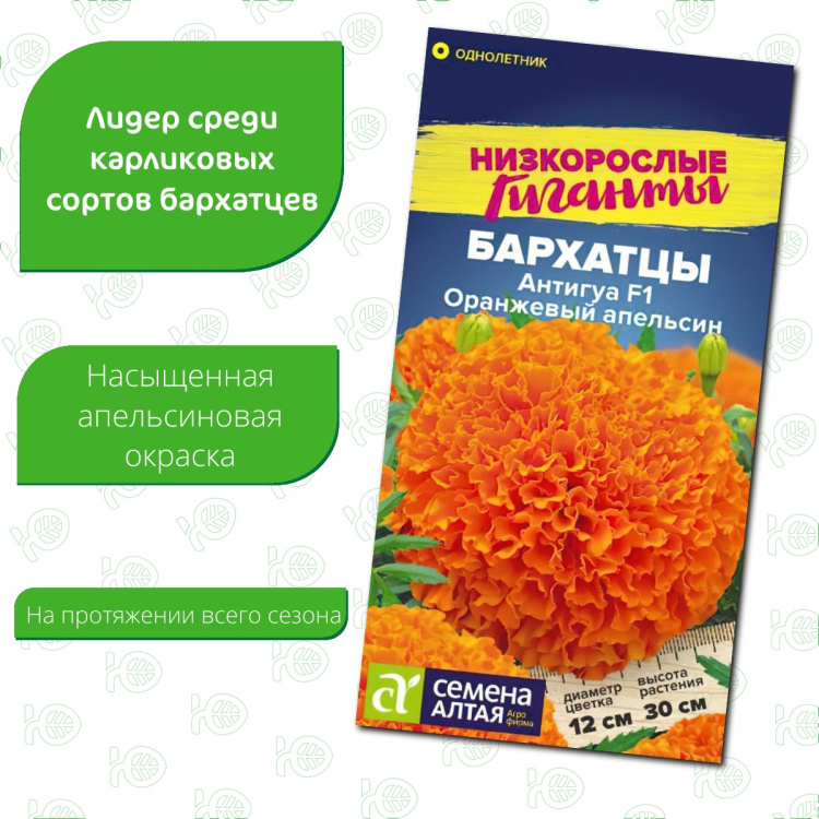 Бархатцы Антигуа Оранжевый апельсин [Семена алтая] купить с доставкой