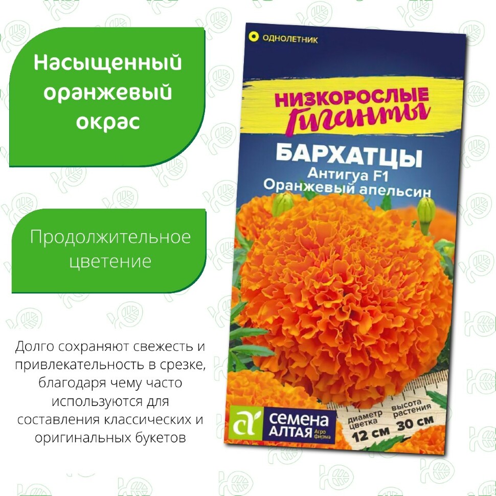 Бархатцы Антигуа Оранжевый апельсин [Семена алтая] купить с доставкой